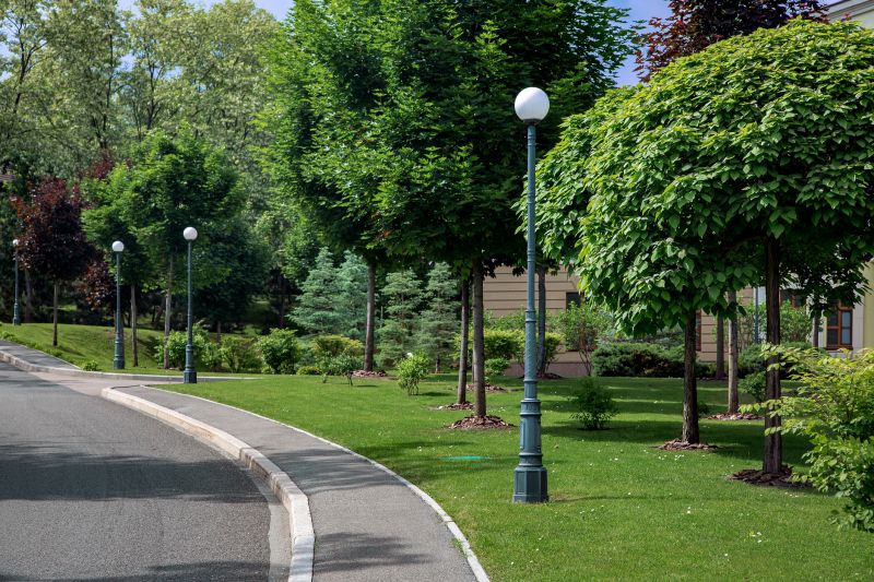 Chip And Seal Paving