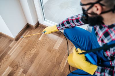 Residential Pest Control